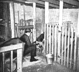 Two pens for kids or maternity ward. A three-fourths inch wire mesh floor tacked to 1-by-2 foot wooden frame and laid over cement floor keeps bedding in kid pens fresh longer.